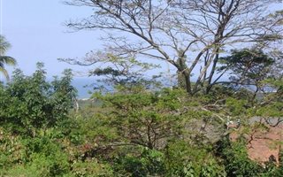 1727 m² Land available in Mtunzini