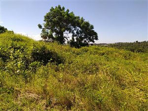 1208 m² Land available in Temple Valley