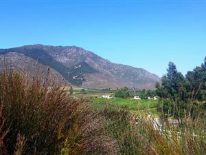 9800 m² Smallholding in Waboomskraal