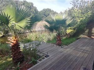 3 Bed House in Century City