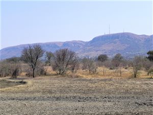 5 ha Land available in Kameeldrift