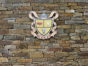 1599 m² Land available in Victoria Country Club Estate