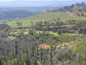 11 ha Farm in Plettenberg Bay