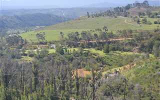 11 ha Farm in Plettenberg Bay