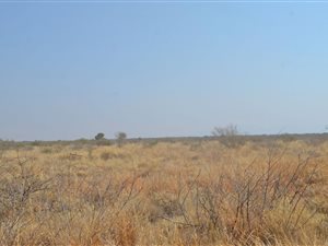 735 ha Farm in Roedtan