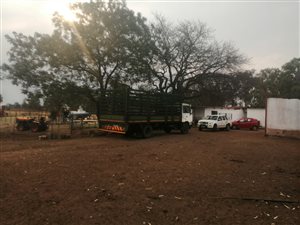 11 ha Farm in Onderstepoort
