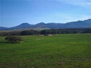 7.4 ha Farm in Baardskeerdersbos