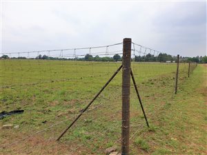 2.2 ha Farm in Buyscelia