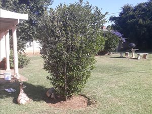 3 Bed House in Pelham