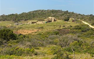 9 ha Land available in De Stades