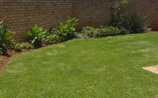 3 Bedroom Cluster in Albemarle