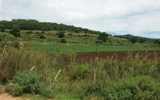 38.8 ha Smallholding in Pelham