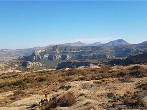 1414 ha Farm in Ficksburg