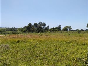 1200 m² Land available in Empangeni