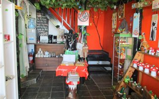 52 m² Commercial space in Mossel Bay Central