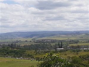 8 ha Farm in Tongaat Central