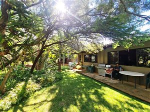 8.8 ha Farm in Bultfontein AH