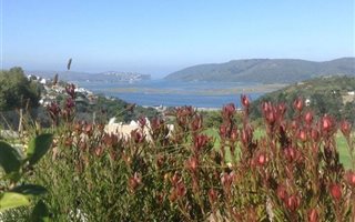 4663 m² Land available in Narnia