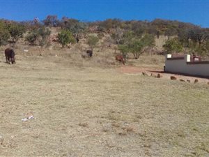 322 m² Land available in Soshanguve