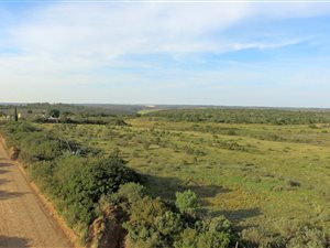 9 ha Farm in Uitenhage Central