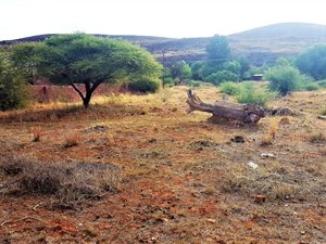 3881 m² Land available in Olifantshoek