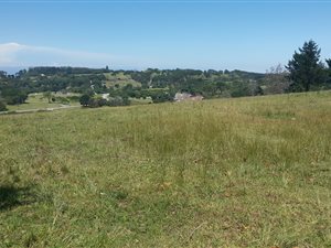 1.8 ha Land available in Colleen Glen