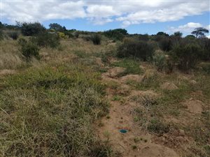 545 m² Land available in Reebok