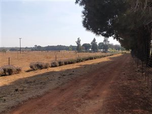 Farm in Tiegerpoort