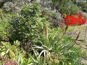 3000 m² Farm in Malmesbury