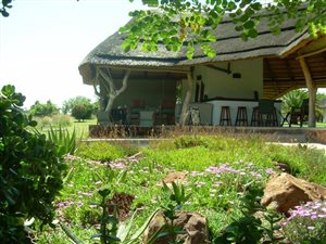 Farm in Leeuwfontein