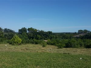 1390 m² Land available in Birdswood