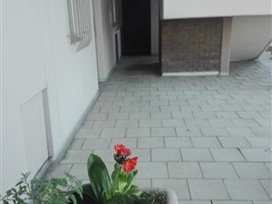 2 Bed Apartment in Sanlamhof