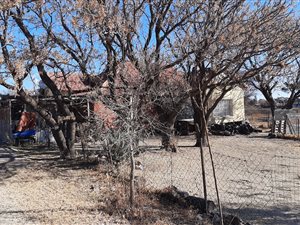 7 Bed House in Lakeview