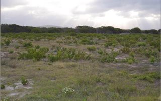 1650 m² Land available in Gouritsmond