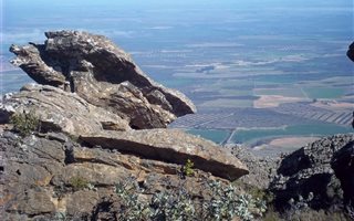 168 ha Farm in Piketberg