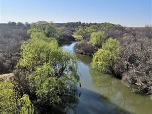 483 ha Farm in Heilbron