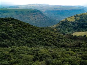 10 ha Smallholding in Howick