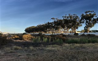 805 m² Land available in Darling