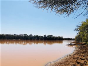 1141 ha Farm in Zeerust