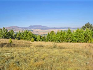 2213 m² Land available in Underberg