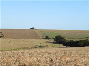 675 ha Farm in Bredasdorp