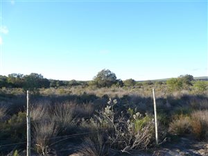 11 ha Farm in Yzerfontein