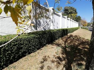 1262 m² Land available in Bryanston West