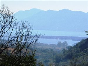5 ha Farm in Rietfontein