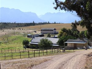 250 ha Farm in Tulbagh