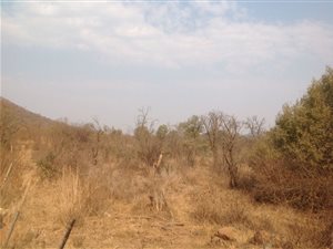 42 ha Land available in Kameelfontein and surrounds