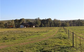 8 ha Farm in Bonnievale