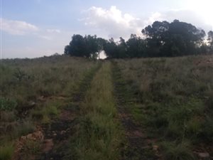 3.4 ha Farm in Nigel