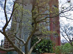 1 Bed Apartment in Sunnyside