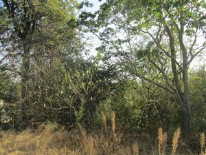 750 m² Land available in Ashlea Gardens